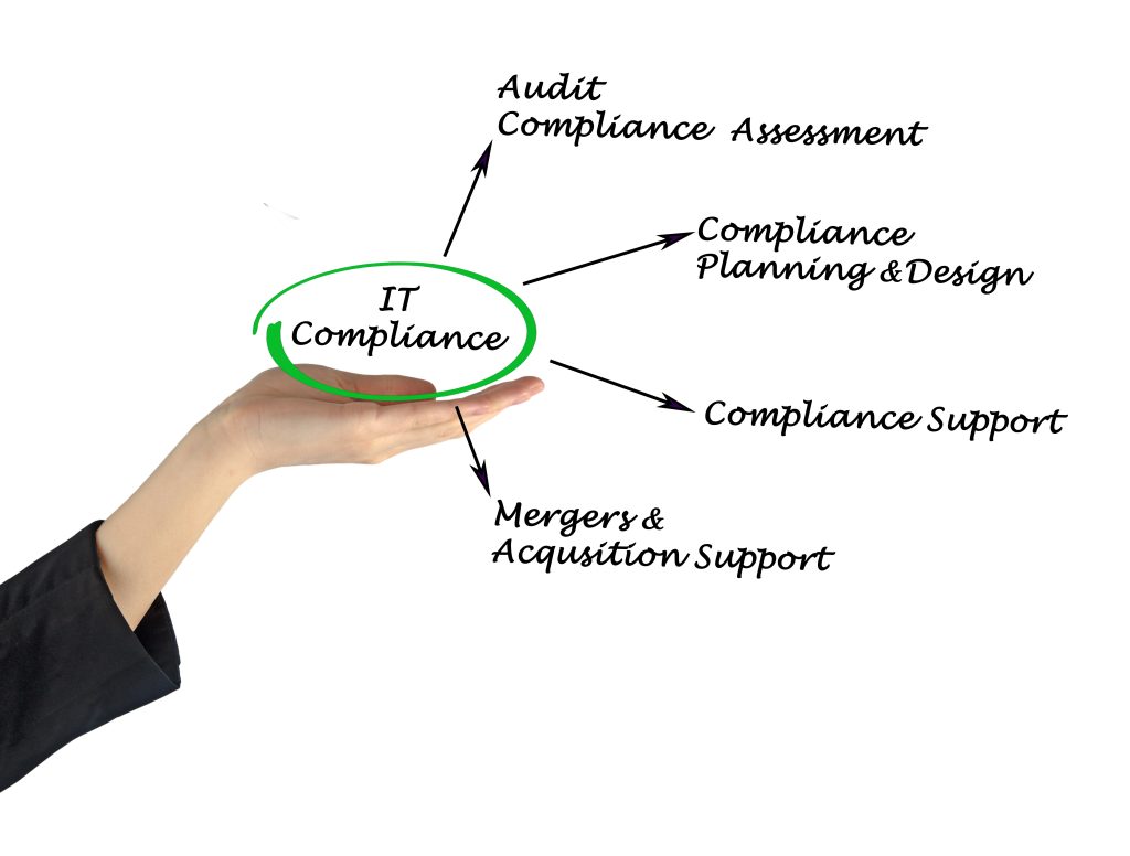 IT Audit